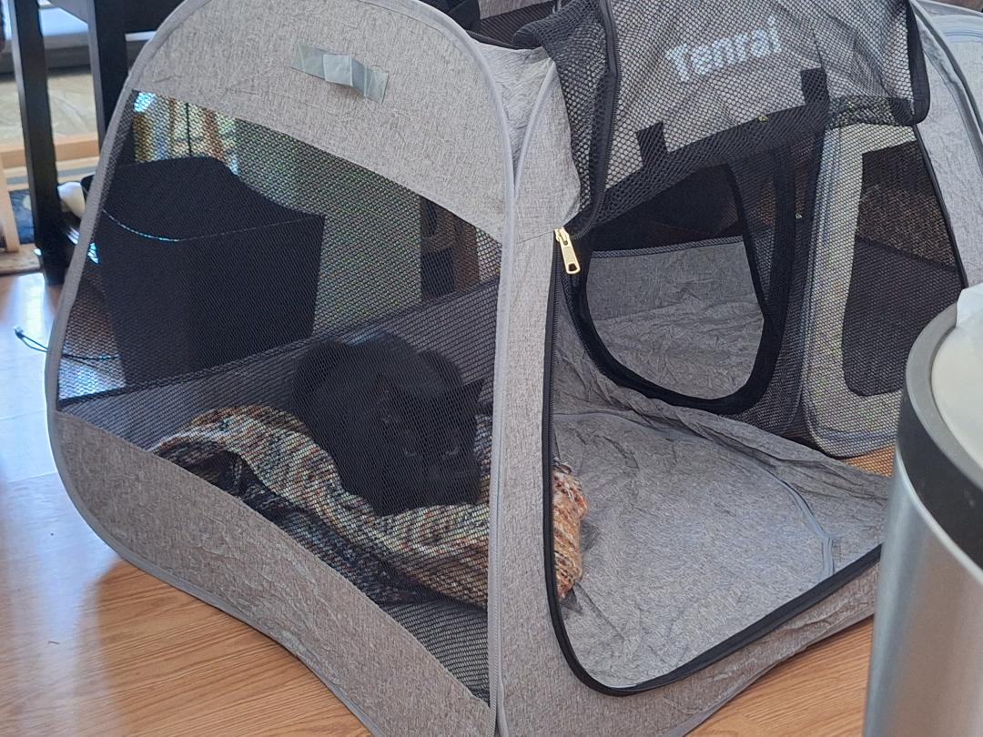 KittyTent