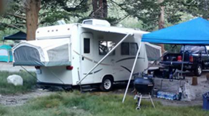 Kiwi 17. East Fork Rock Creek Campground. Eastern Sierra Nevada mountains. July 2014