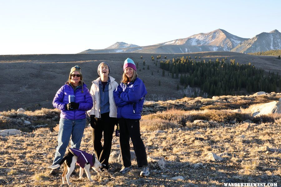 Ladies in Purple/Blue