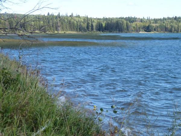 Lake at Riding Mountain