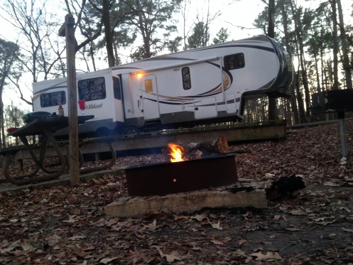 Lake Bistineau State Park, Shreveport, Louisiana