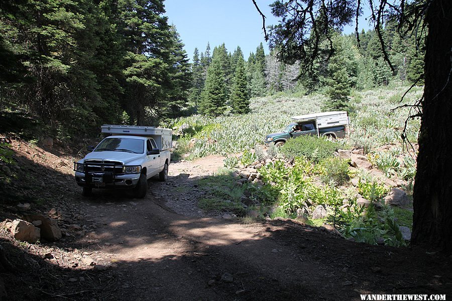 Lake City Canyon - Warner Mountains