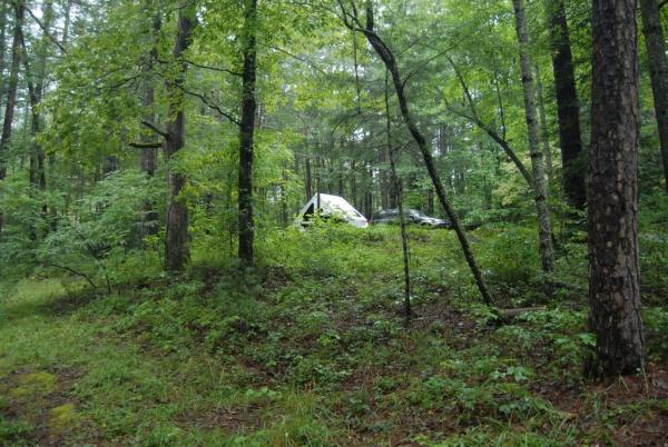 Lake Powhatan National Forest, Asheville, NC