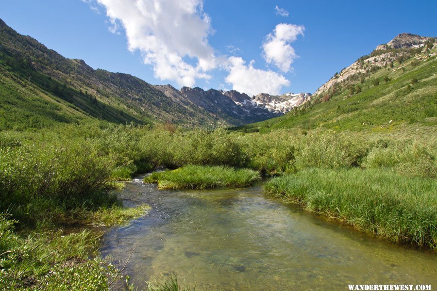 Lamoille Canyon