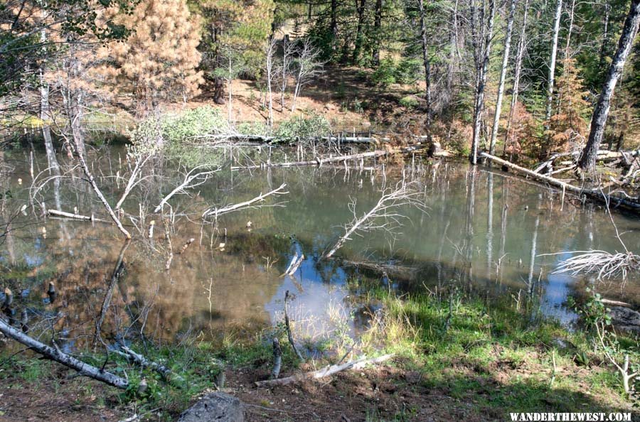 Lassen Creek Beaver Pond