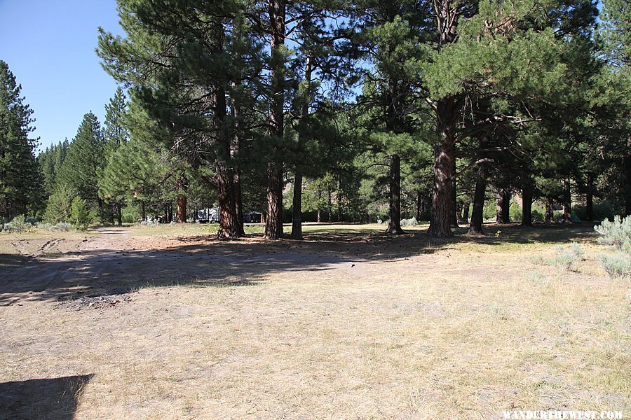 Lassen Creek Campground - Warner Mountains