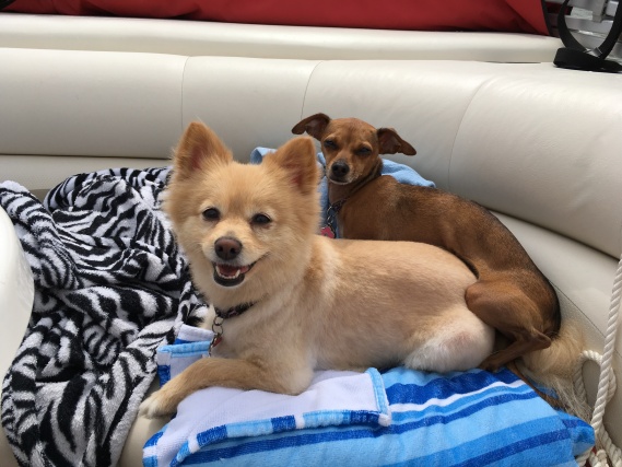 Layla and Macy on the Pontoon