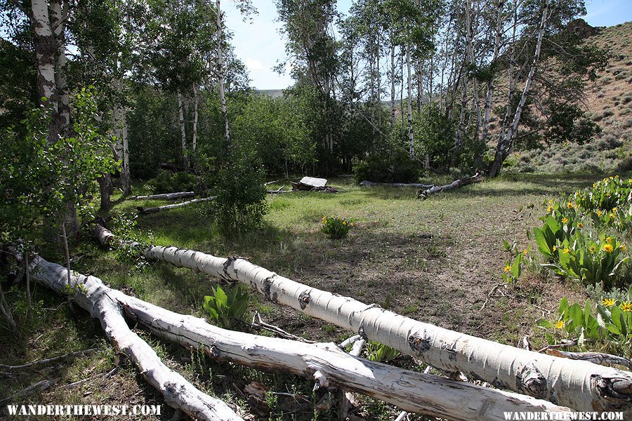 Leadville, Nevada