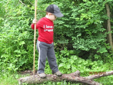 Learning with his own walking stick. Kids need to be out more often in the woods.