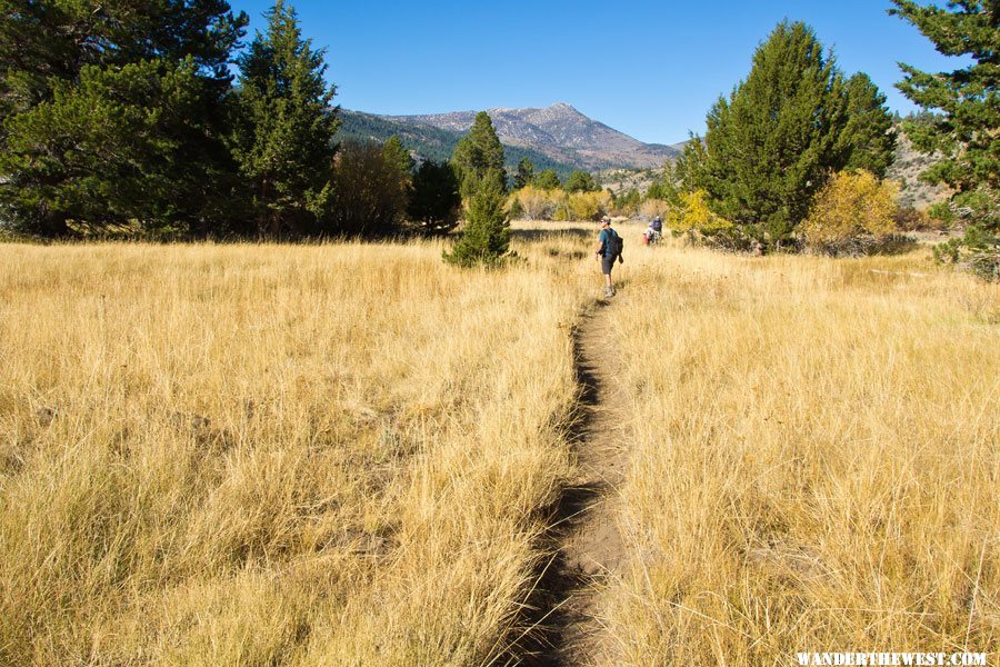 Leavitt Meadows