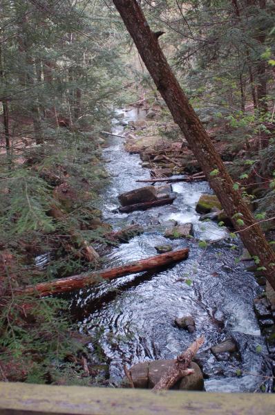 Lewey lake near site 11