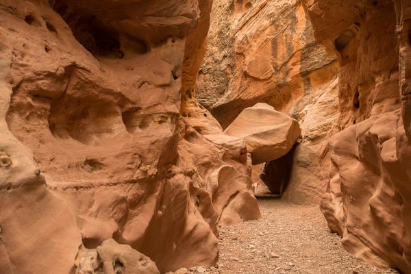 Little Wild Horse Canyon, UT