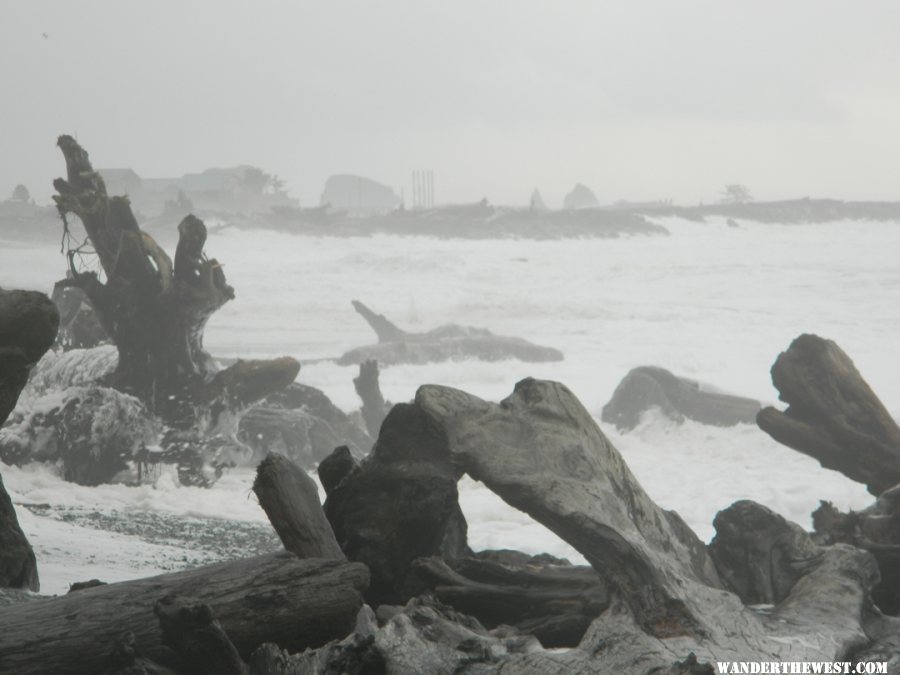 Logs in the surf.