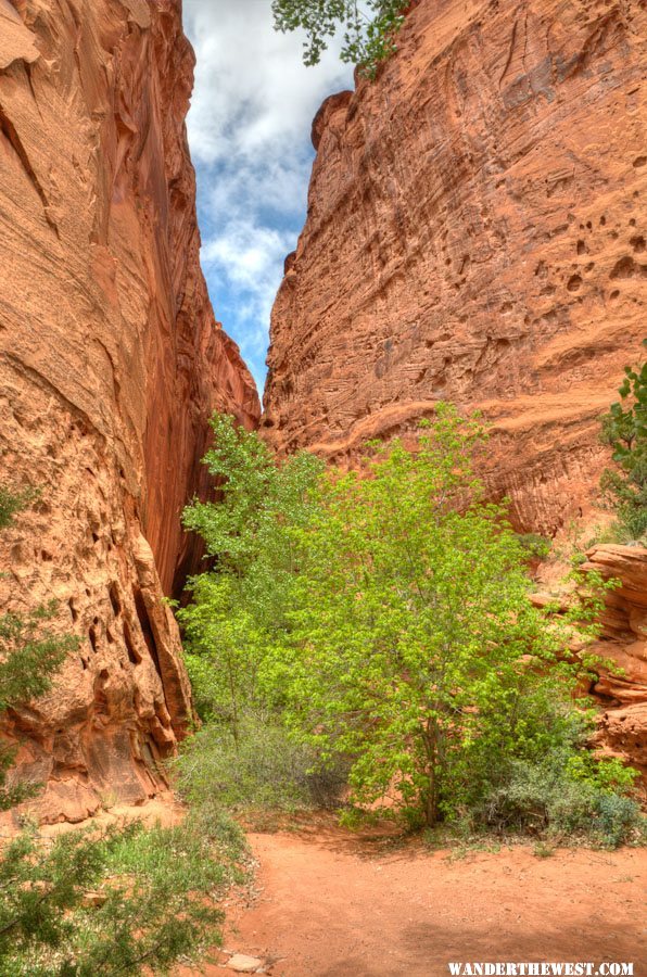 Long Canyon