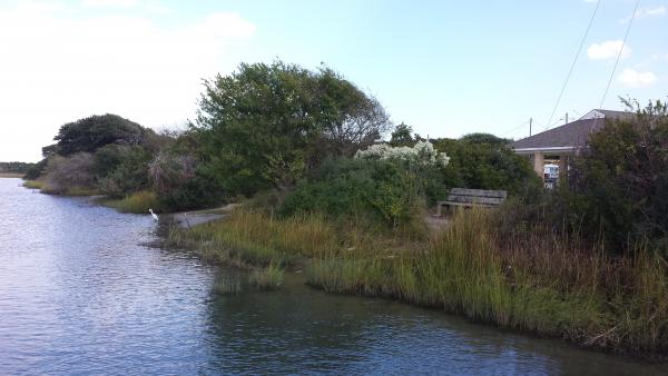 Looking along the Intercoastal Waterway