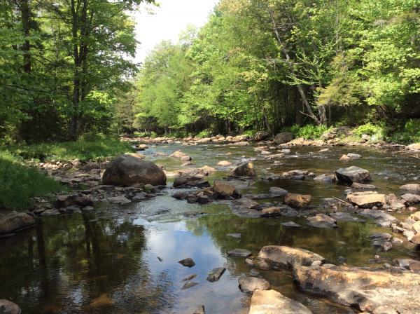 Looking Downstream on The Little Black Creek