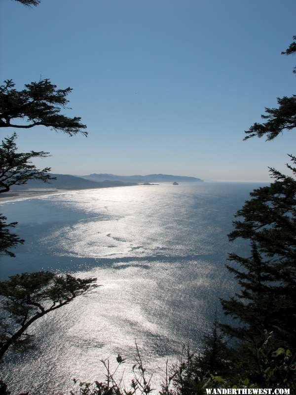 Looking north from the Cape Lookout trail