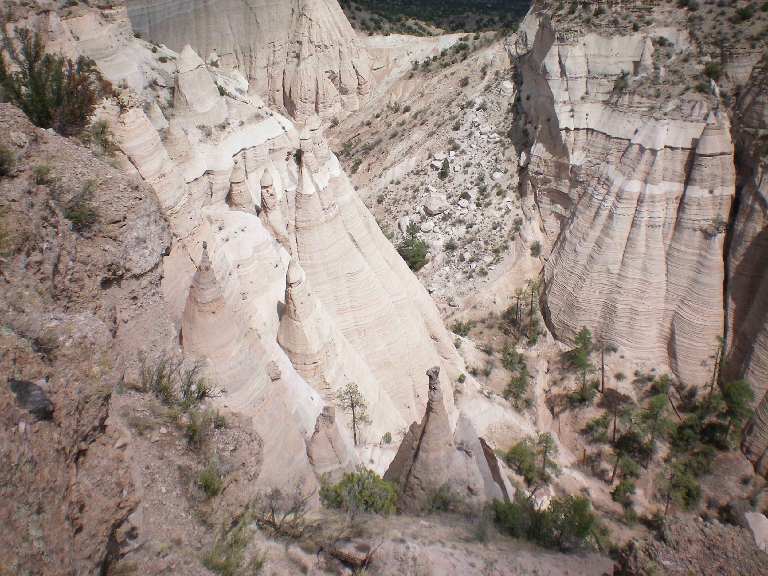 Looking over the edge into the canyon on the Canyon Trail.