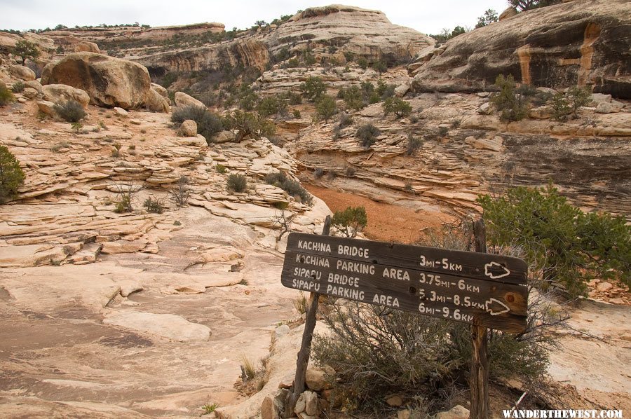 Loop Trail Sign Below Owachomo Bridge