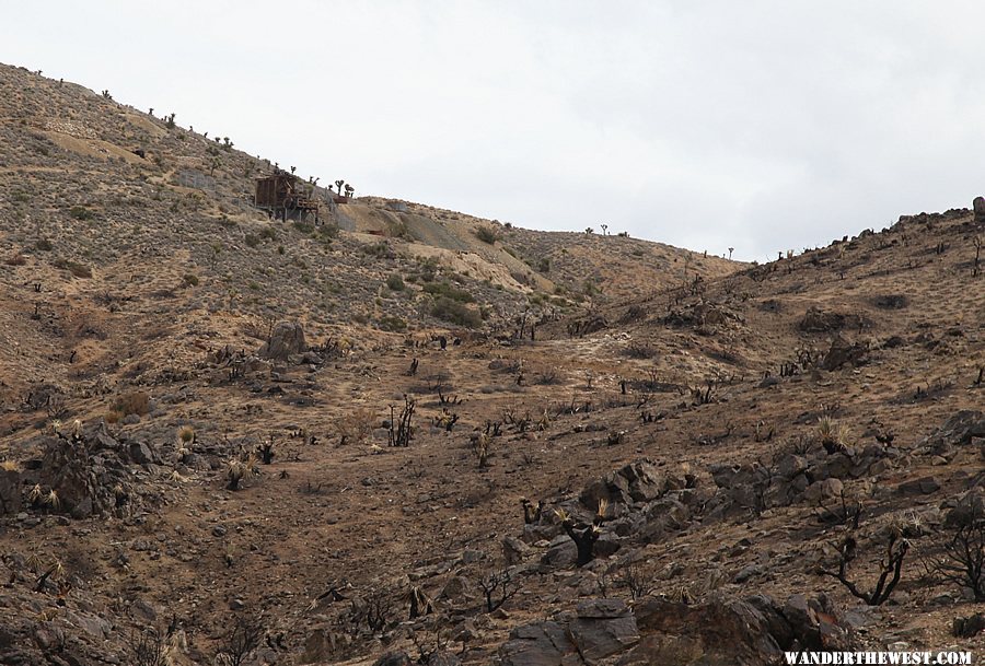 Lost Horse Mine Trail