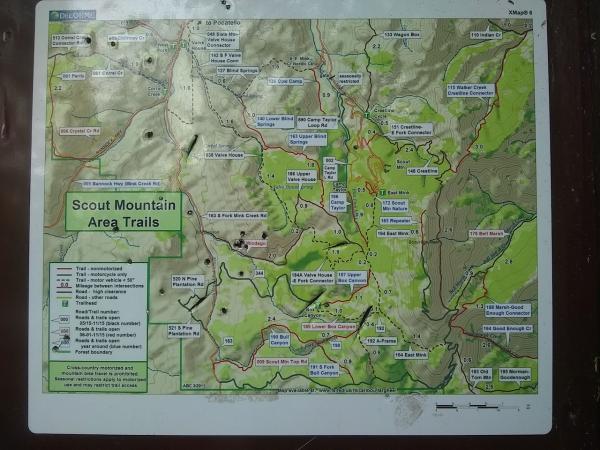 Lots of hiking trails accessible from the trailhead at the edge of the campground.