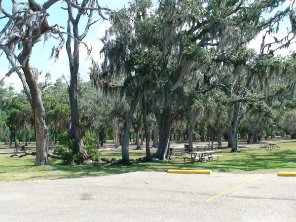 Lovely park with old moss draped oaks...