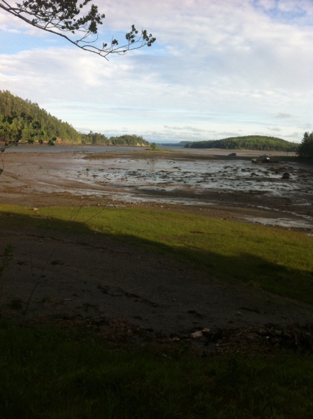 Low tide 9:40am June 6th