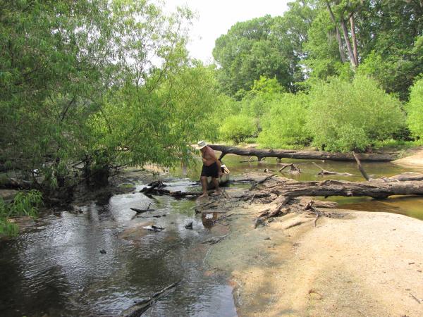 Low water and lots of blow downs made for an interesting day of getting in and out of the boats..... Ogeechee River above Rocky Ford.