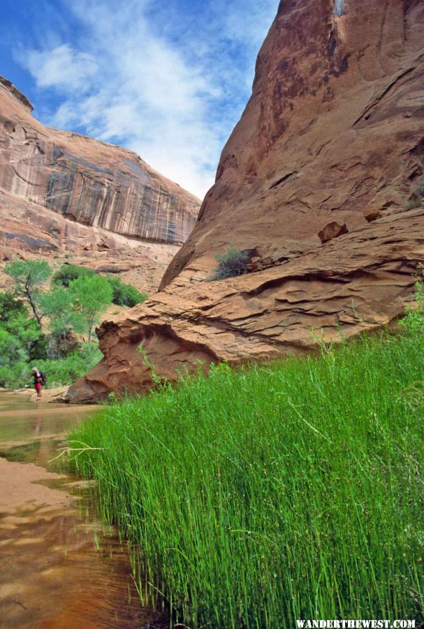 Lower Coyote Gulch