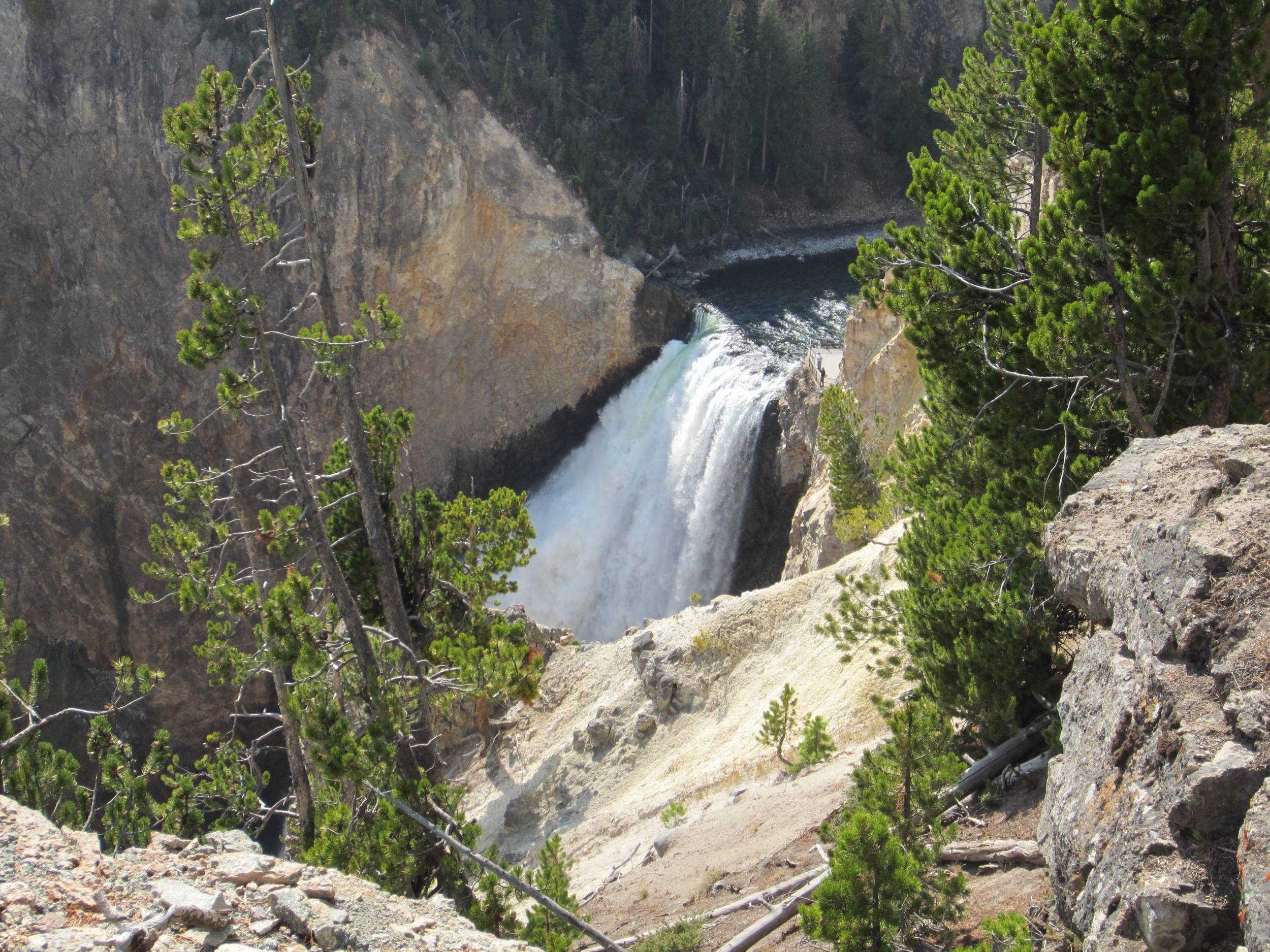 Lower Falls, Yellowstone National Park