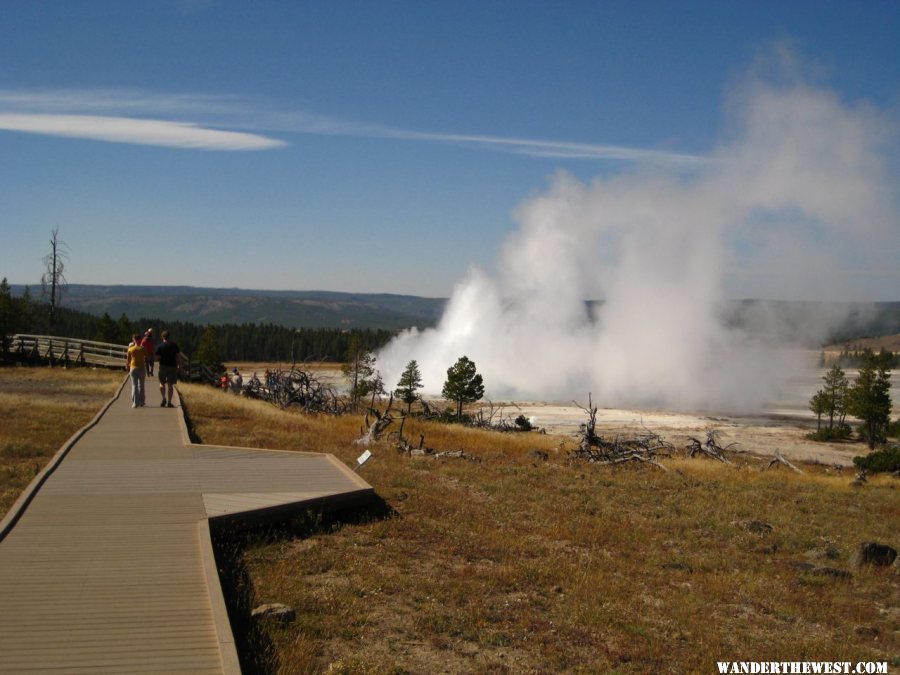 Lower Geyser Basin