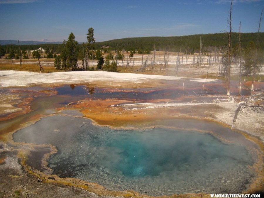 Lower Geyser Basin