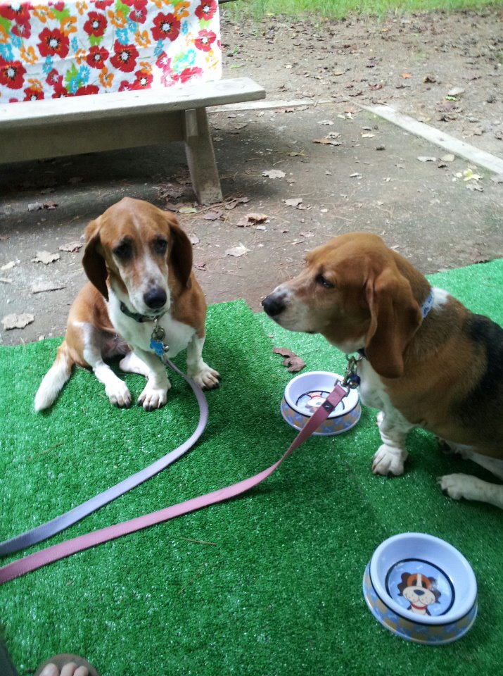 Lucy and Charlie Brown