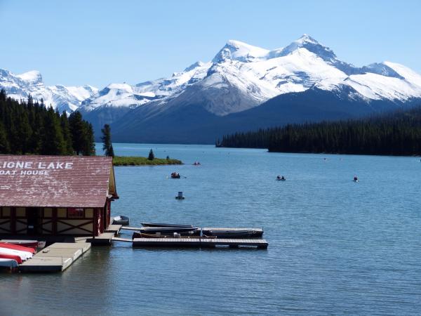 Maligne Lake            August 2015