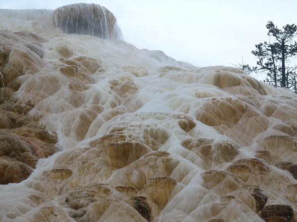 Mammoth Springs is beautiful, however very changed from my memories as a kid.  It's changing and drying up.  Go see it now before it's gone.