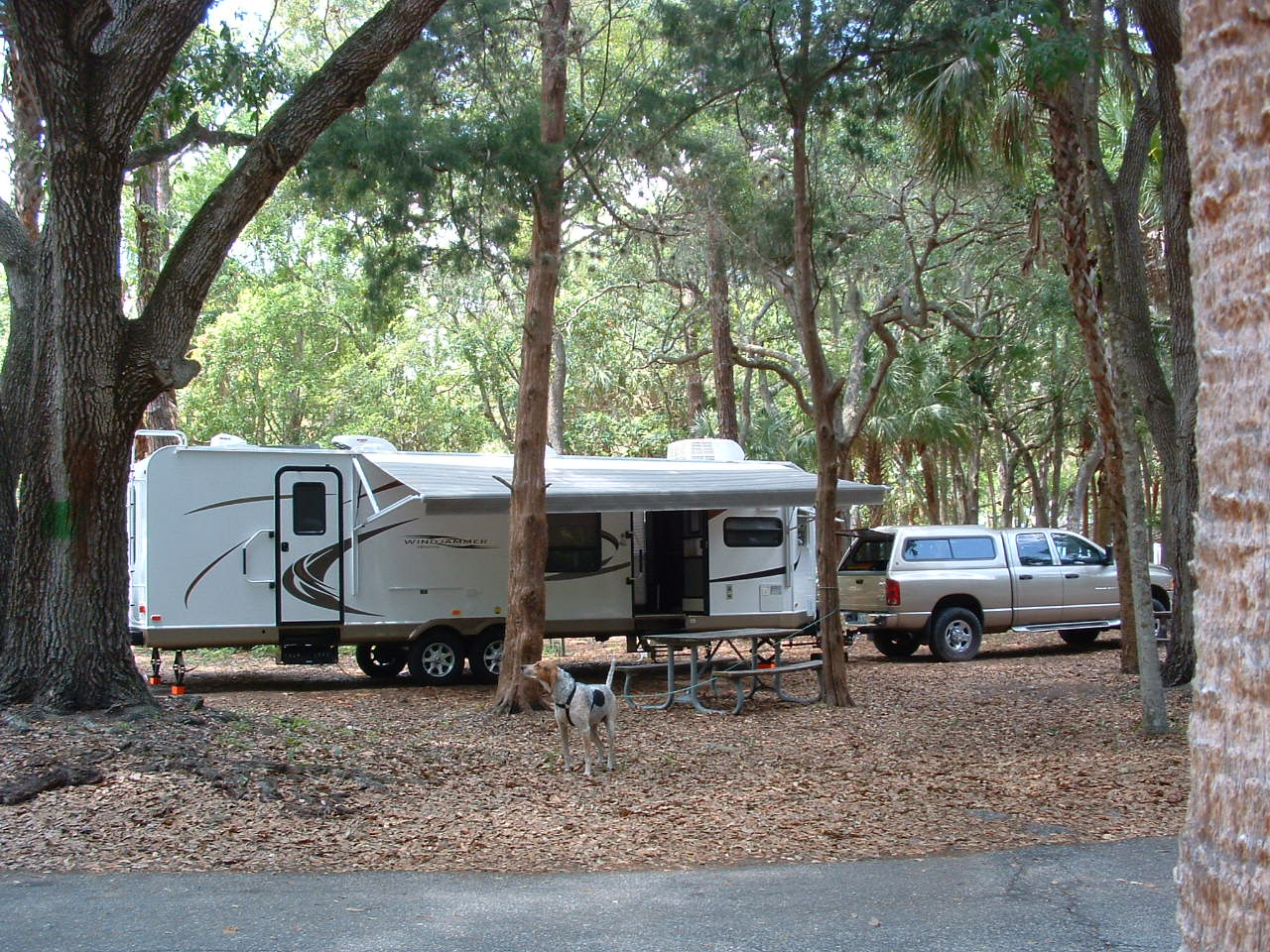 Manatee Hammock Campground