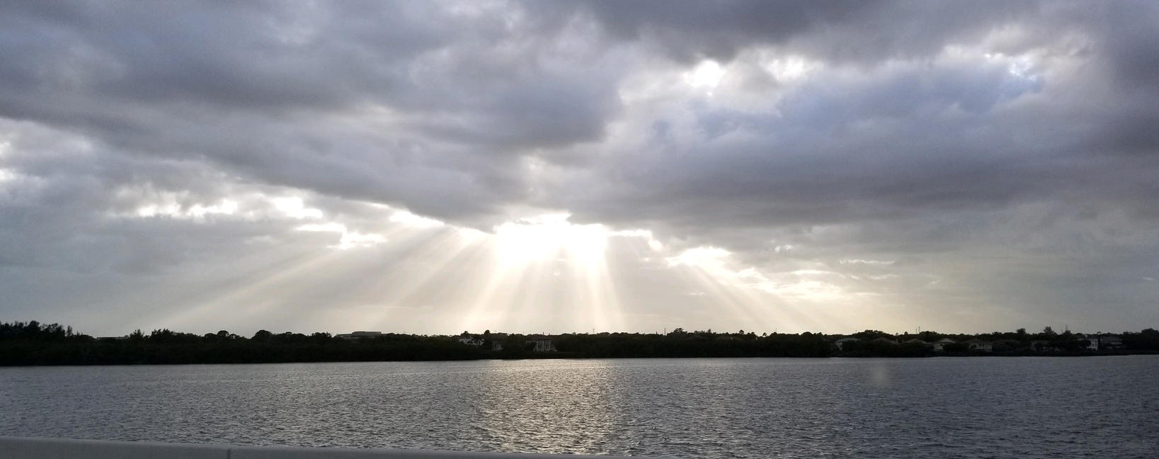 manatee river ftHammerbridge