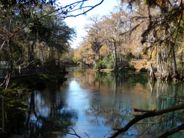 Manatee Spring Run