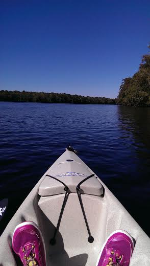 Manatee Springs