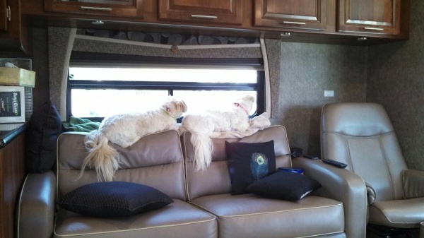 Mandi and Polly watching over the campground