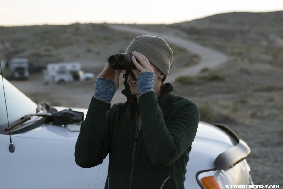 Many birds to be seen at the Pawnee Grasslands