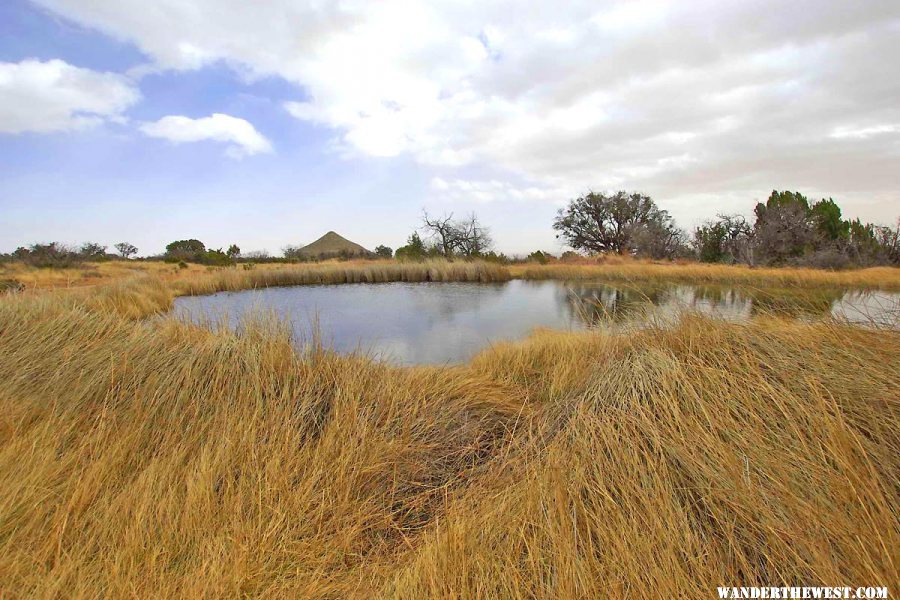 Manzanita Spring