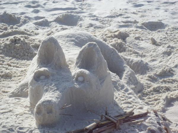 Mary's German Shepherd sand sculpture 3/2015
AL Gulf Coast