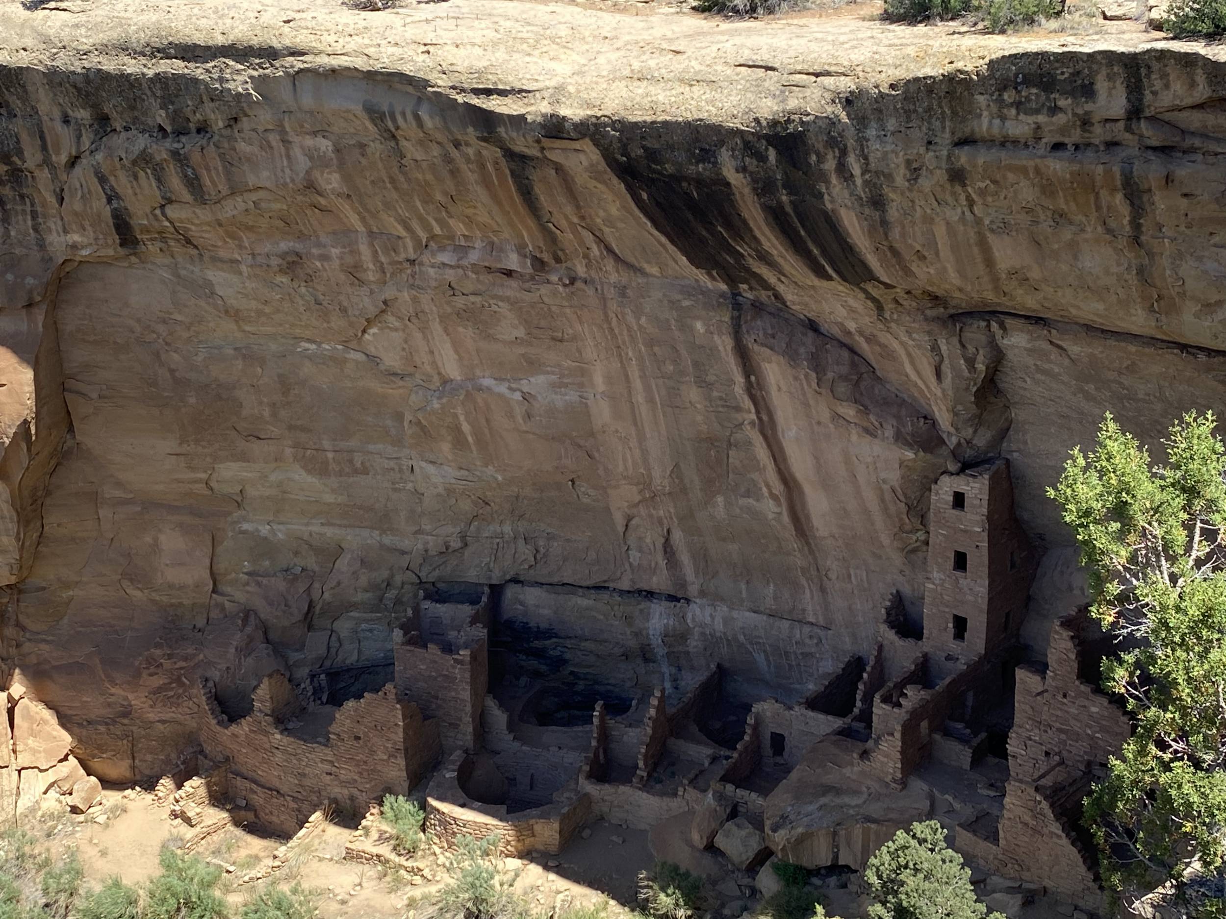 Mesa Verde Colorado