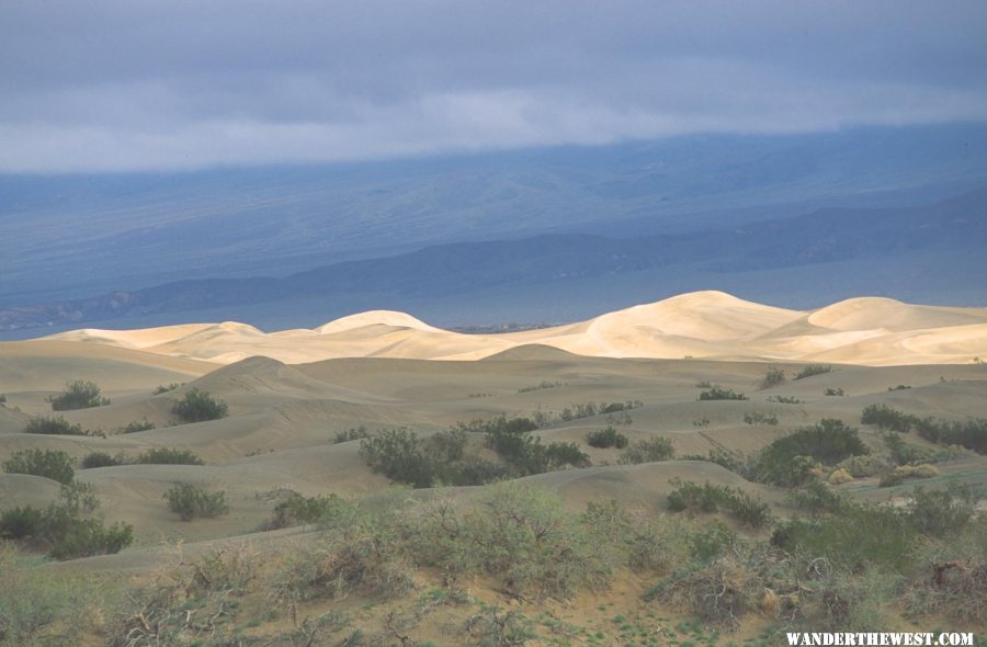 Mesquite Flat Dunes