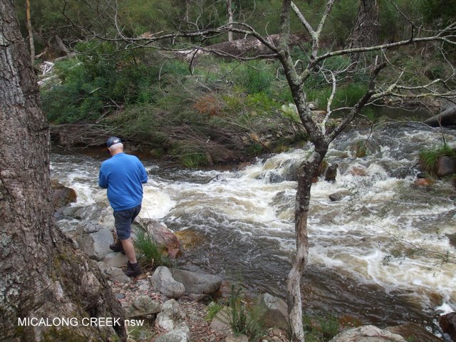 Micalong Creek, Our Favourite Camping Spot