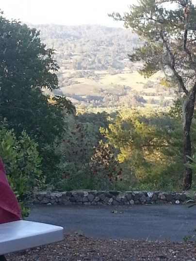 Mid April '15 Santa Rosa View of Vineyards from RV Site at Dutcher Creek RV Park