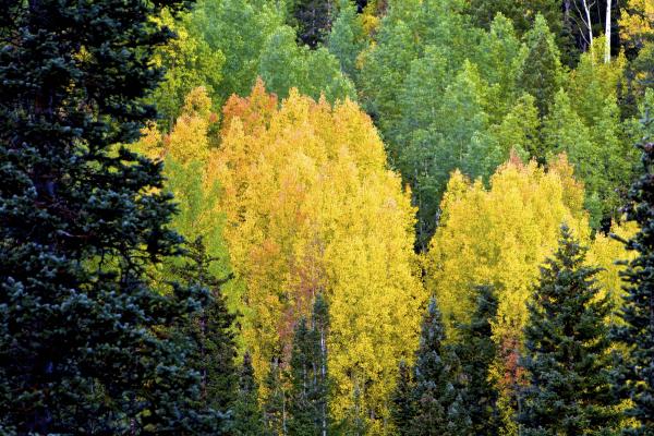 Million Dollar Highway, CO