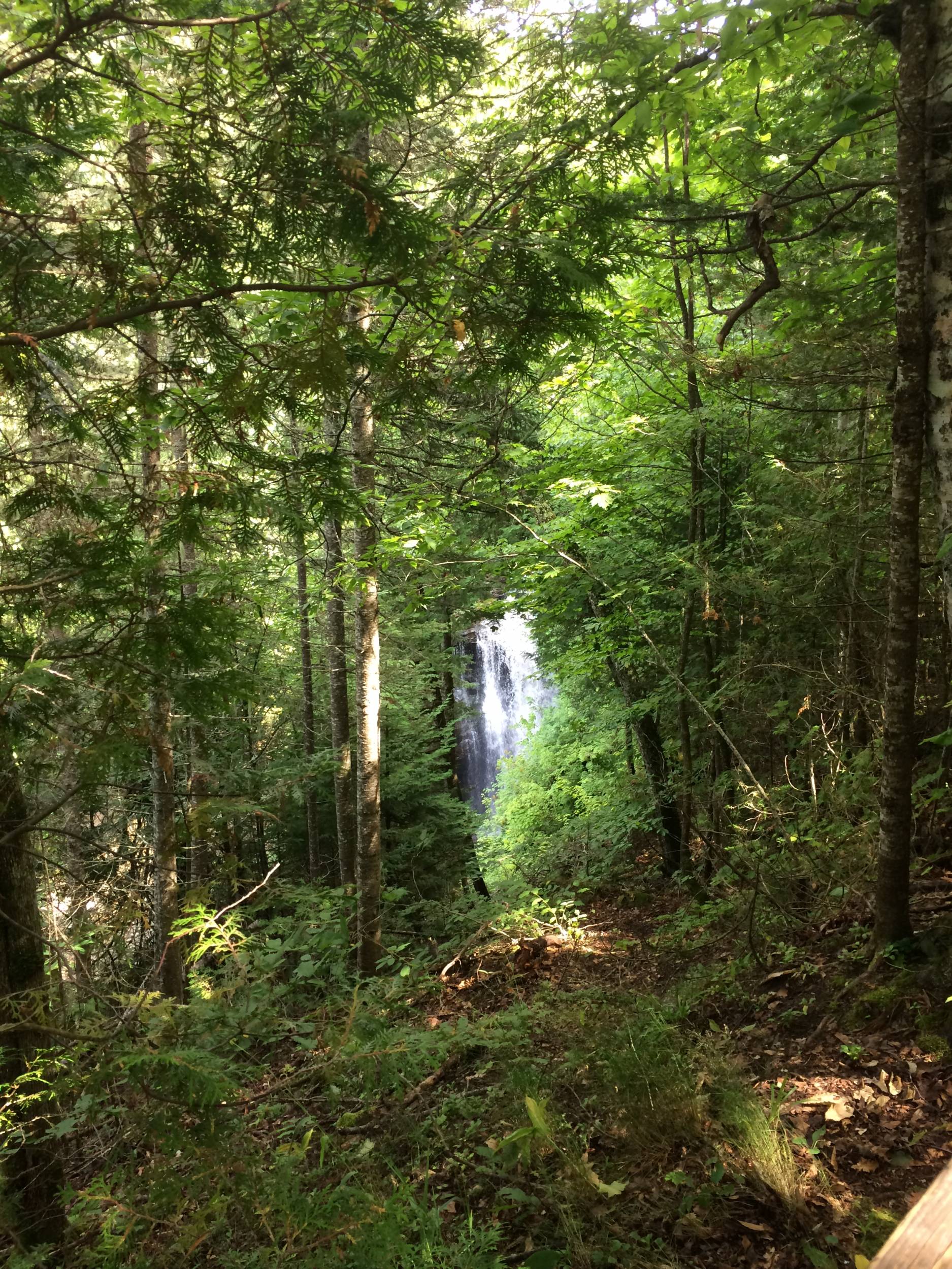 Miner's Falls Aug 2014