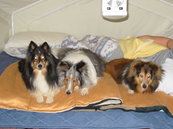 Mocha, Sasha, Jessica in Roo